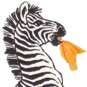 Zebra image